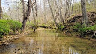 293 E Piney Rd, Dickson, TN 37055