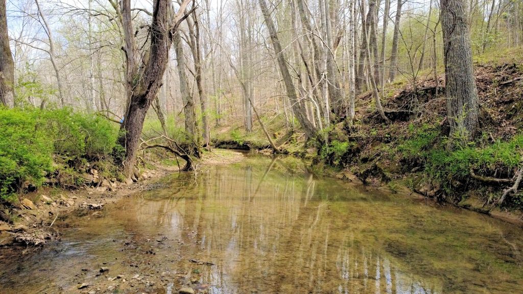 293 E Piney Rd, Dickson, TN 37055