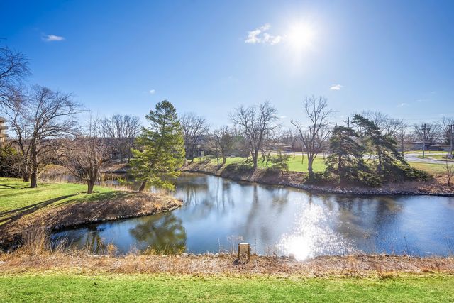 8025 WOODGLEN Lane 207, Downers Grove, IL 60516