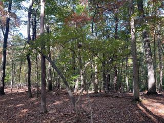 LOT 4 Covered Bridge Road, Blairsville, GA 30512