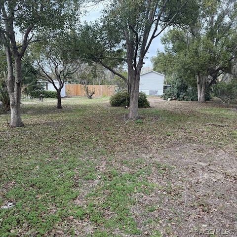 5291 W Blade Lane, Dunnellon, FL 34433