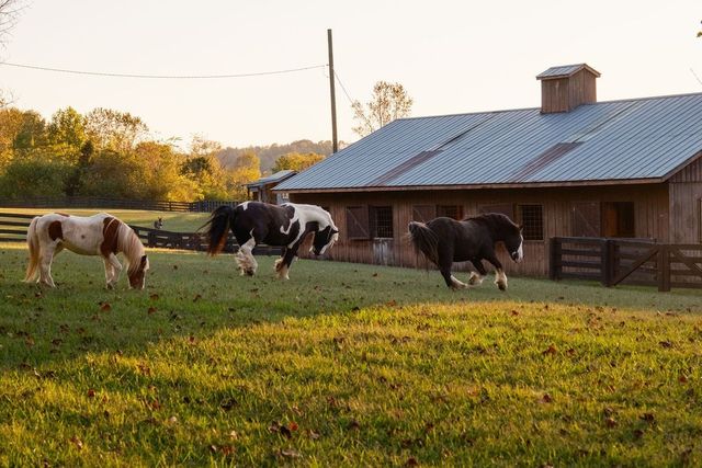 5297 Old Harding Rd, Franklin, TN 37064