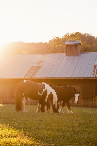 5297 Old Harding Rd, Franklin, TN 37064