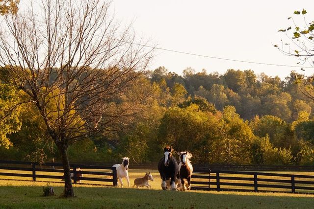 5297 Old Harding Rd, Franklin, TN 37064