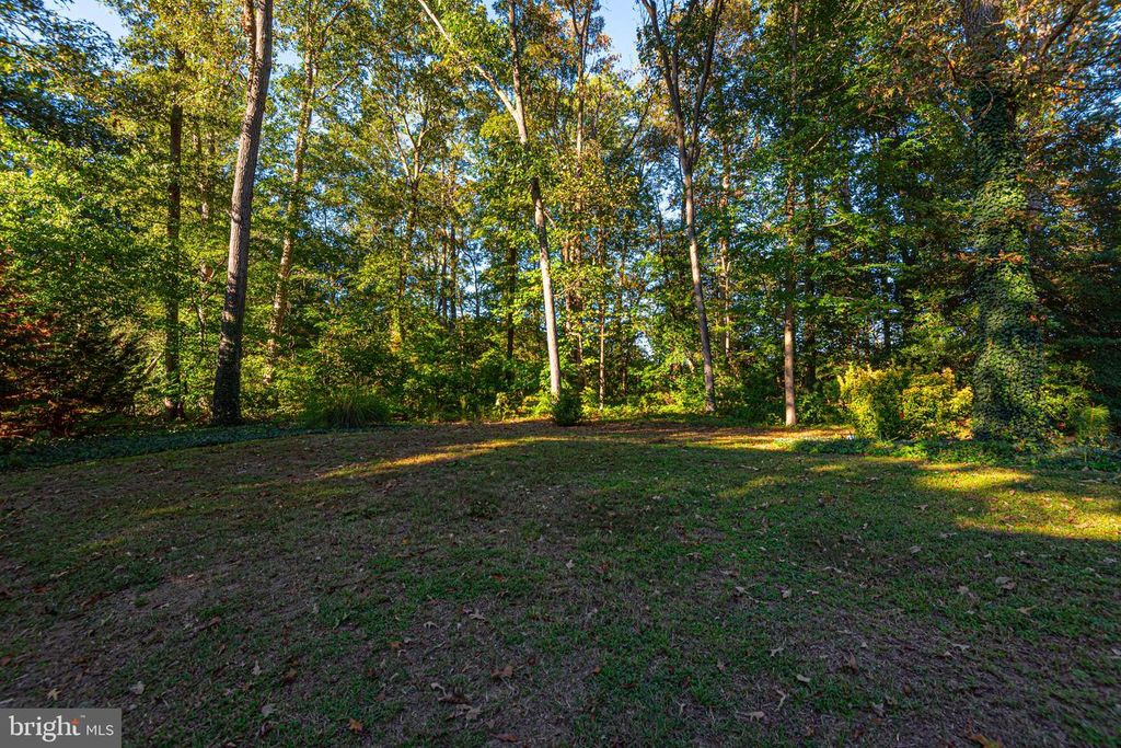 Image 46 of property listing at 331 SIKA DR, Harrington, DE 19952