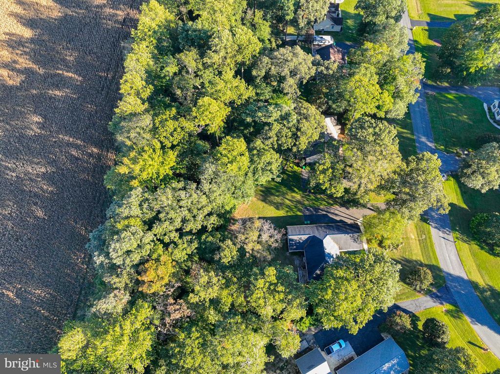 Image 58 of property listing at 331 SIKA DR, Harrington, DE 19952