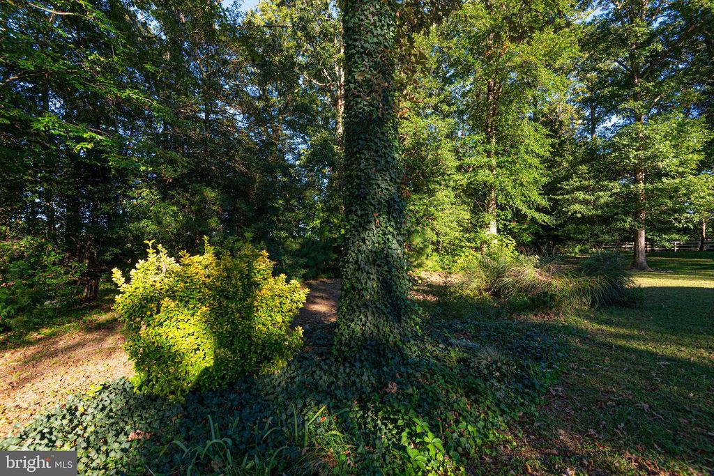 Image 64 of property listing at 331 SIKA DR, Harrington, DE 19952
