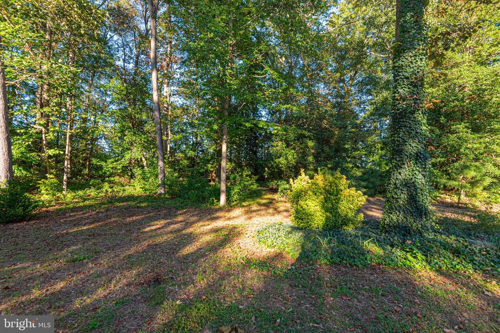 Image 65 of property listing at 331 SIKA DR, Harrington, DE 19952