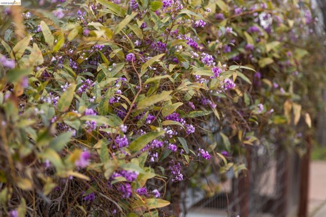 1261 Hearst Ave, Berkeley, CA 94702