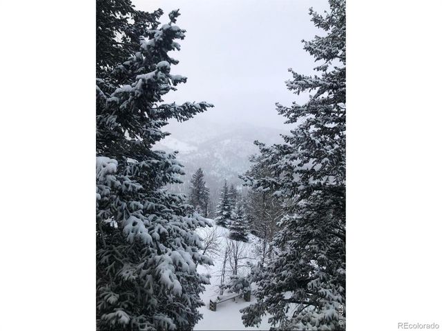 1108 Eagle Drive, Lyons, CO 80540