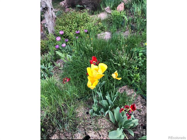 1108 Eagle Drive, Lyons, CO 80540