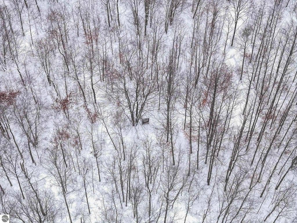 Image 10 of property listing at 00 W Falmouth Road, Cadillac, MI 49601