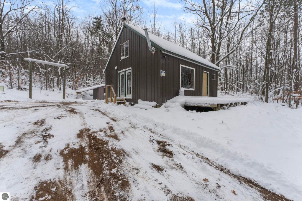 Image 35 of property listing at 00 W Falmouth Road, Cadillac, MI 49601