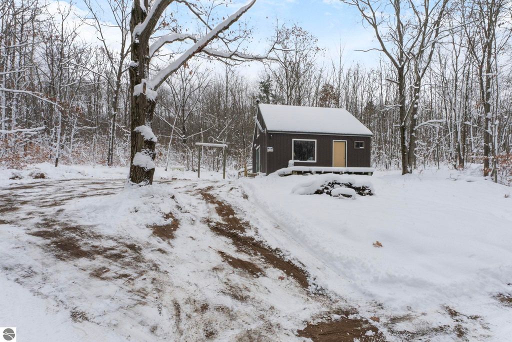 Image 36 of property listing at 00 W Falmouth Road, Cadillac, MI 49601
