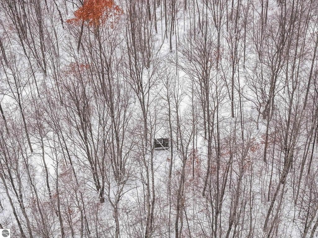 Image 37 of property listing at 00 W Falmouth Road, Cadillac, MI 49601