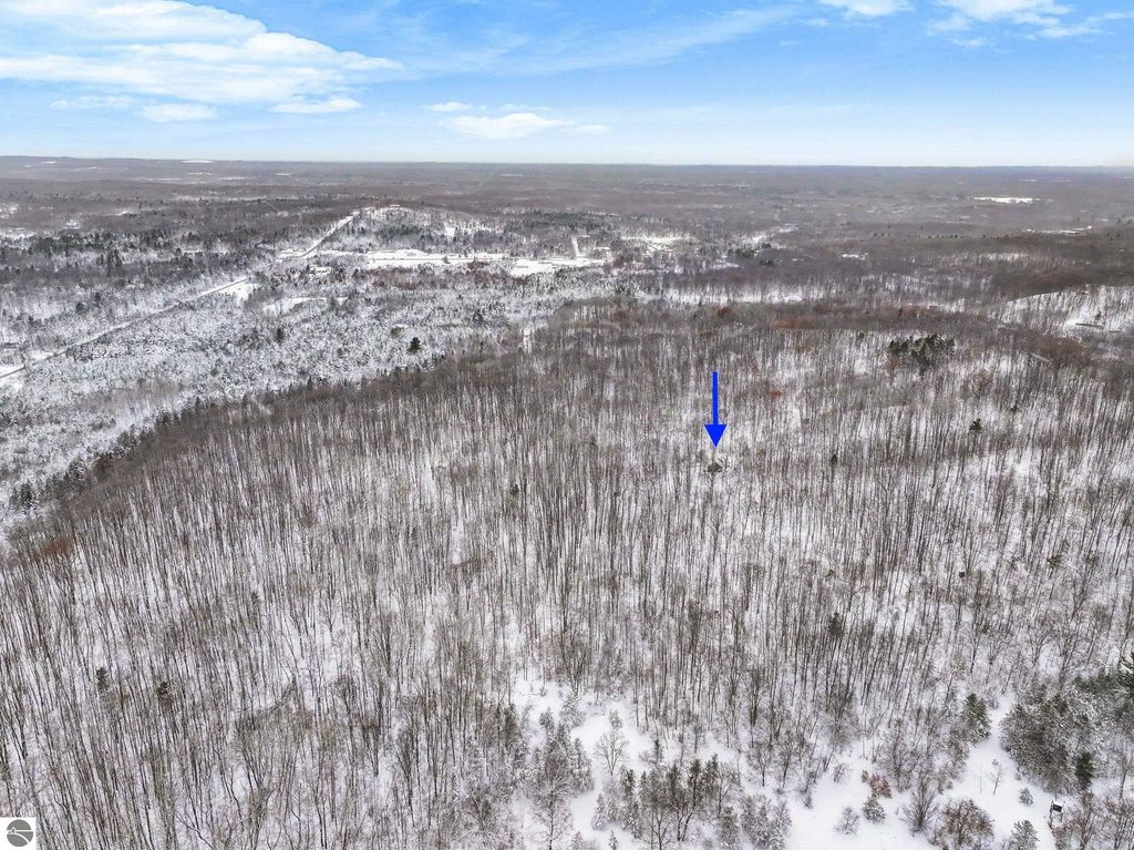 Image 8 of property listing at 00 W Falmouth Road, Cadillac, MI 49601