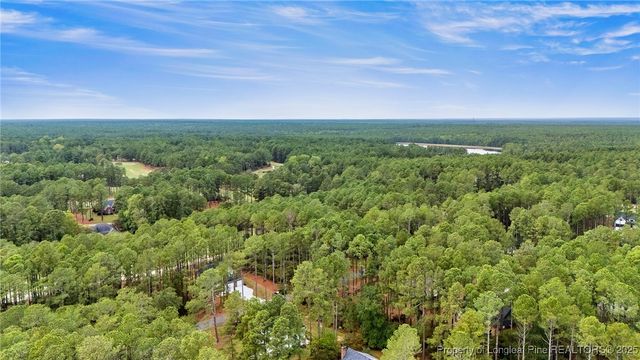 30080 Loblolly Court, Wagram, NC 28396