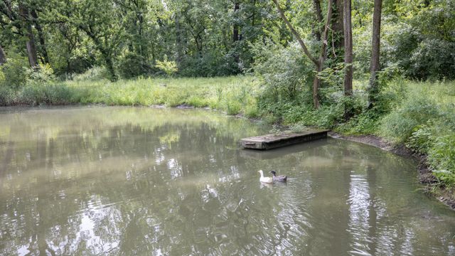 11N226 Peplow Road, Hampshire, IL 60140