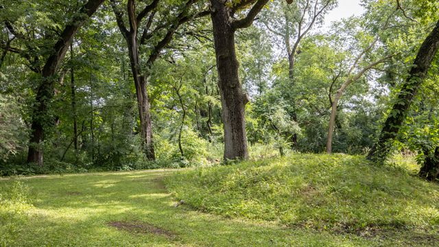 11N226 Peplow Road, Hampshire, IL 60140