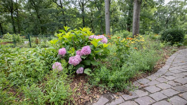 11N226 Peplow Road, Hampshire, IL 60140