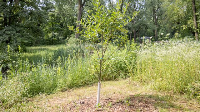 11N226 Peplow Road, Hampshire, IL 60140