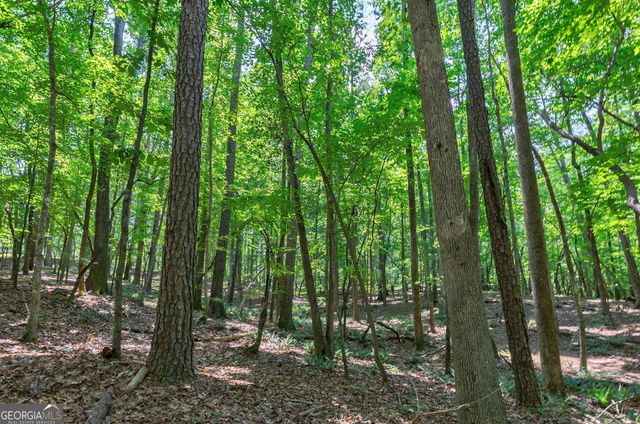 1800 Elder Mill Road, Watkinsville, GA 30677
