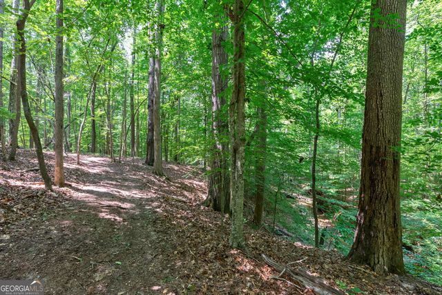 1800 Elder Mill Road, Watkinsville, GA 30677