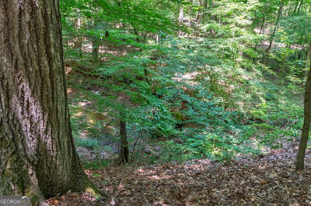 1800 Elder Mill Road, Watkinsville, GA 30677