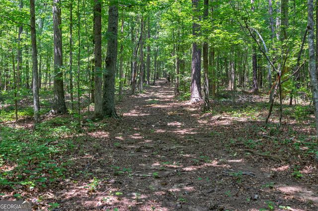 1800 Elder Mill Road, Watkinsville, GA 30677