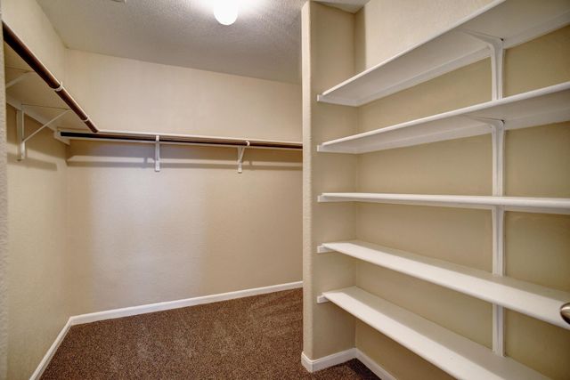 319 Wild Cat DR, Bastrop, TX 78602