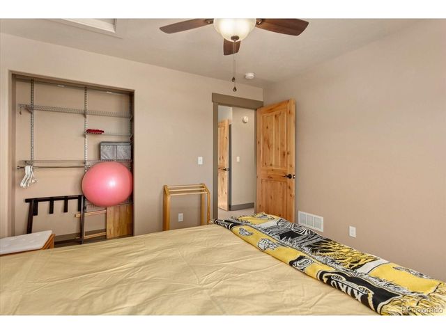 14543 N Stagecoach Ln, Buena Vista, CO 81211