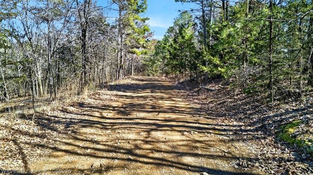 95 Deer Trail, Booneville, AR 72927
