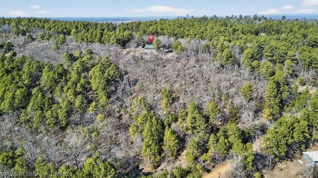 95 Deer Trail, Booneville, AR 72927