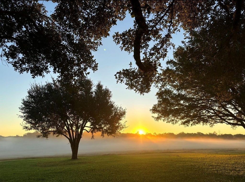 4203 Old Mill Creek Rd Road, Brenham, TX 77833 — exterior