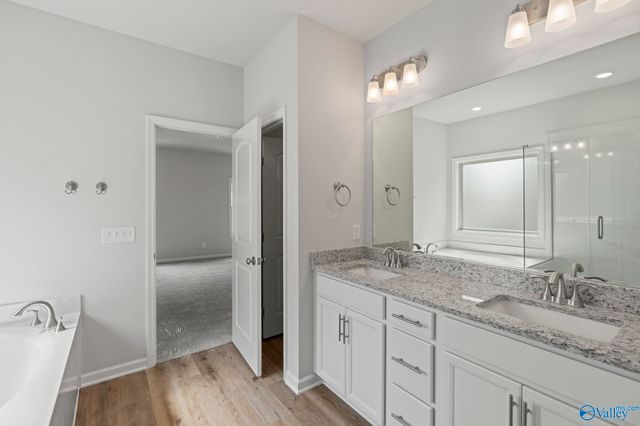 175 Saddle Street, New Market, AL 35761