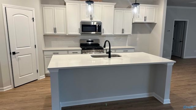 175 Saddle Street, New Market, AL 35761