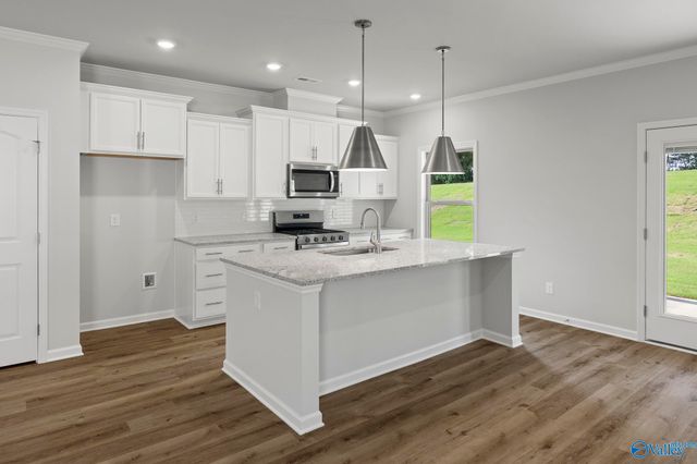 175 Saddle Street, New Market, AL 35761