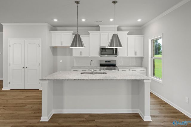 175 Saddle Street, New Market, AL 35761