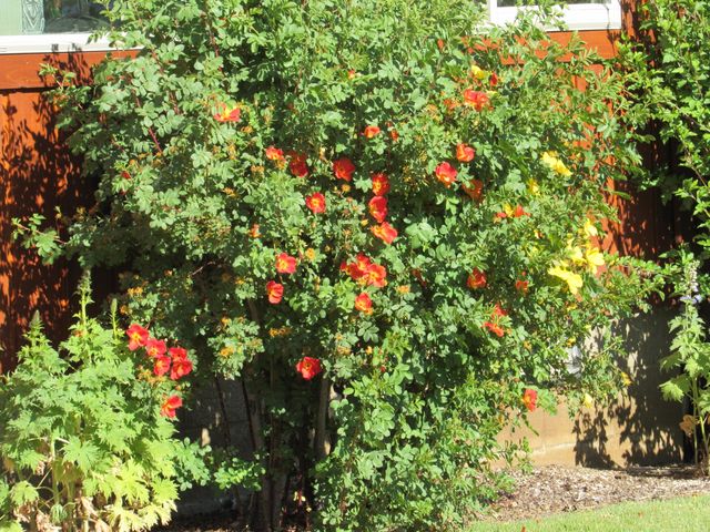 34219 Glen Drive, Chiloquin, OR 97624