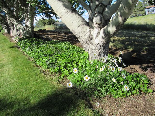 34219 Glen Drive, Chiloquin, OR 97624