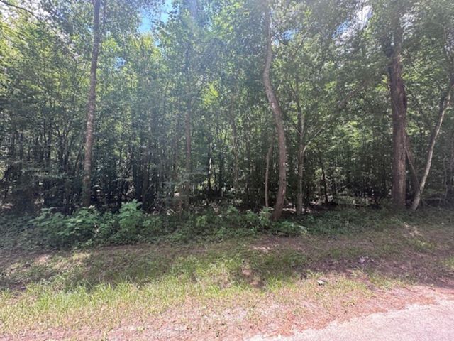 00 Fm-2090, Splendora, TX 77372