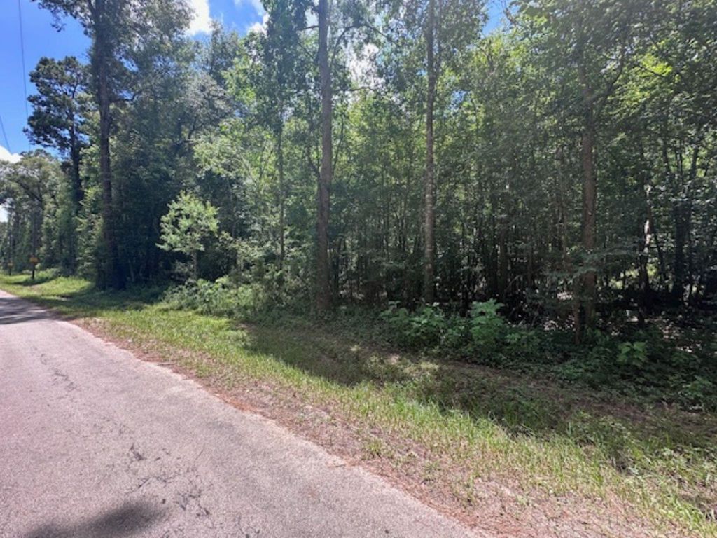 00 Fm-2090, Splendora, TX 77372