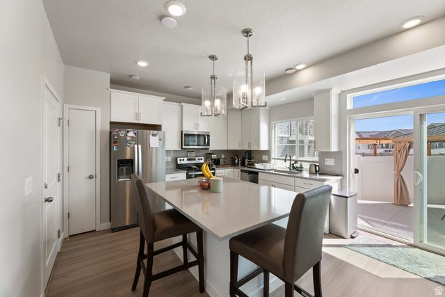 41 E BRUSHY CANYON ST, Saratoga Springs, UT 84045