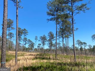 726 Giles Road, Forsyth, GA 31029