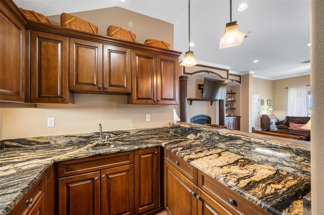 1425 HILLSIDE LANDING DRIVE, Tarpon Springs, FL 34688