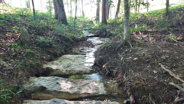 295 Falls Creek Way, Somerset, KY 42503