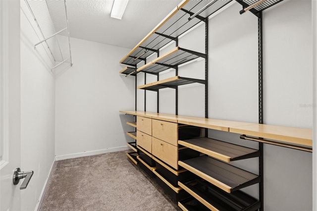 6830 CITRUS CREEK LANE, Tampa, FL 33625