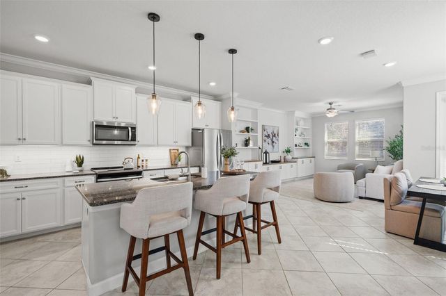 6830 CITRUS CREEK LANE, Tampa, FL 33625