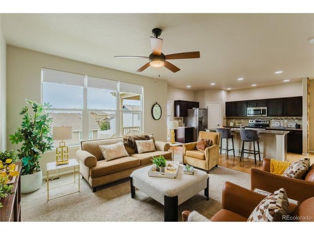 1019 Mount Oxford Ave, Windsor, CO 80550