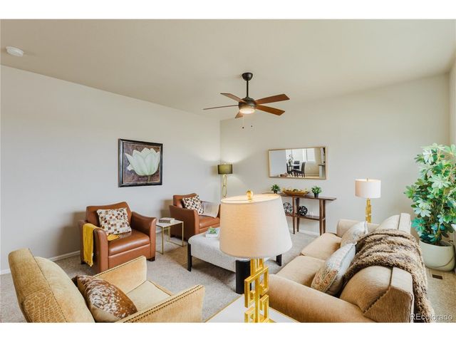 1019 Mount Oxford Ave, Windsor, CO 80550